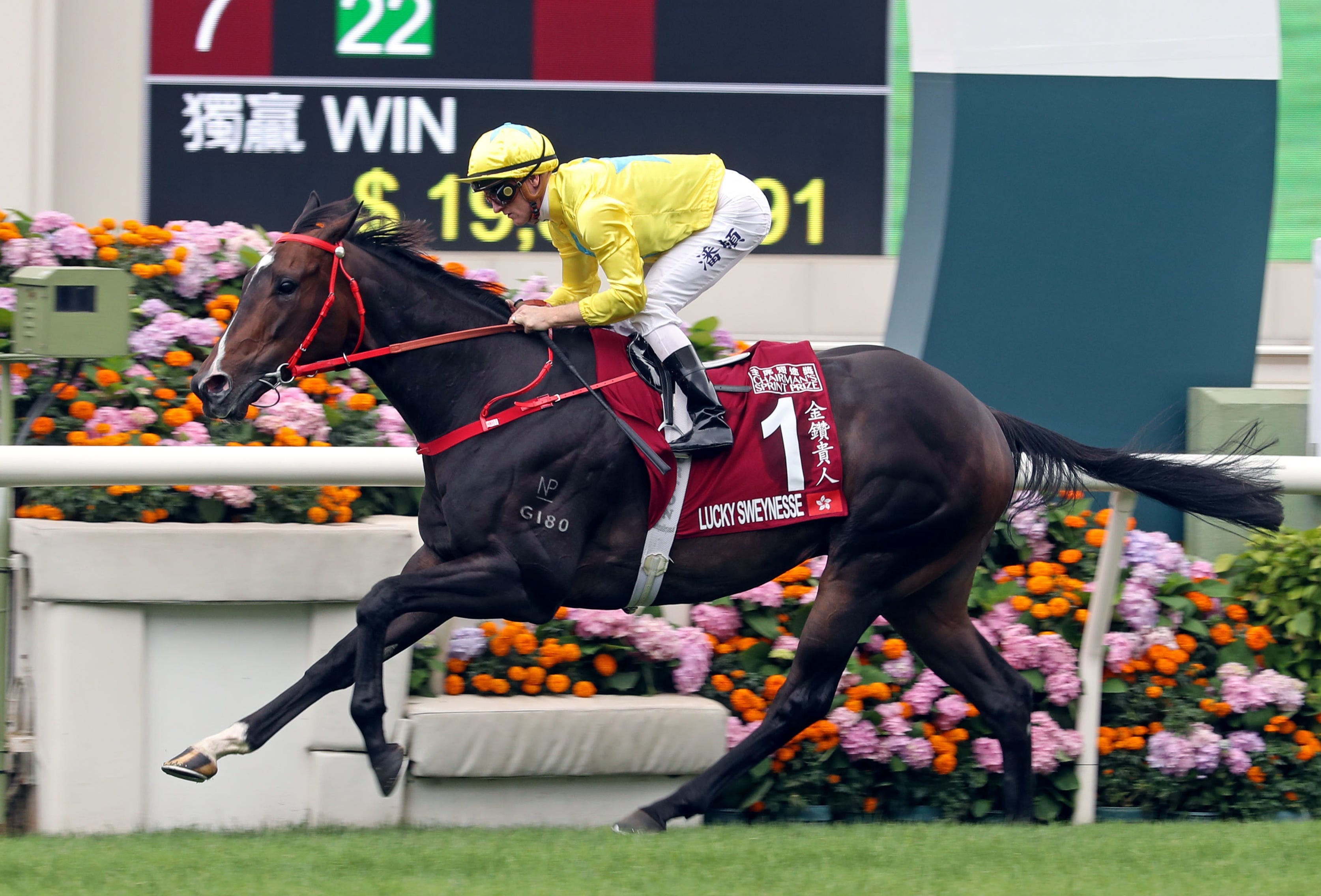 Hong Kong racing season begins